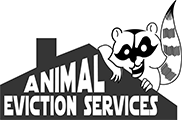 Animal Eviction Services